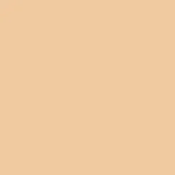 Anti-Blemish Clearing Concealer - Correttore Trattante delle Eruzioni Cutanee