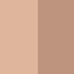 Bronzing Duo SPF 15
