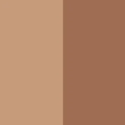 Bronzing Duo SPF 15