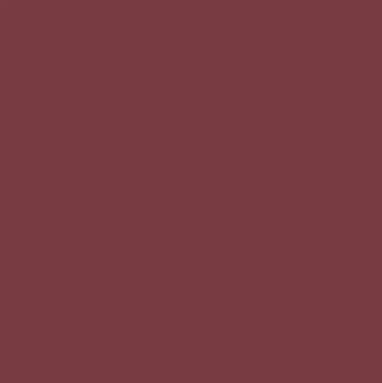 Colours Rouge Intense Lasting
