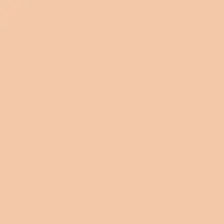 Everlasting Concealer