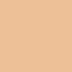 Everlasting Foundation Compact SPF 9
