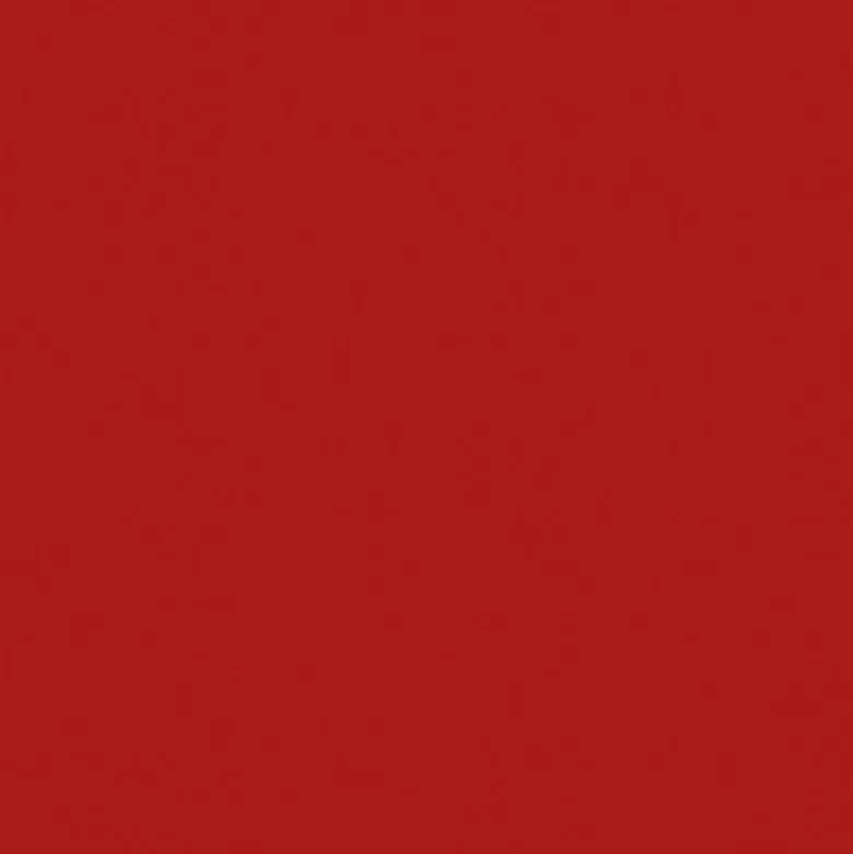 Forever Matte Lipstick - Rossetto Mat