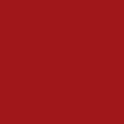 L'Absolu Rouge Mat