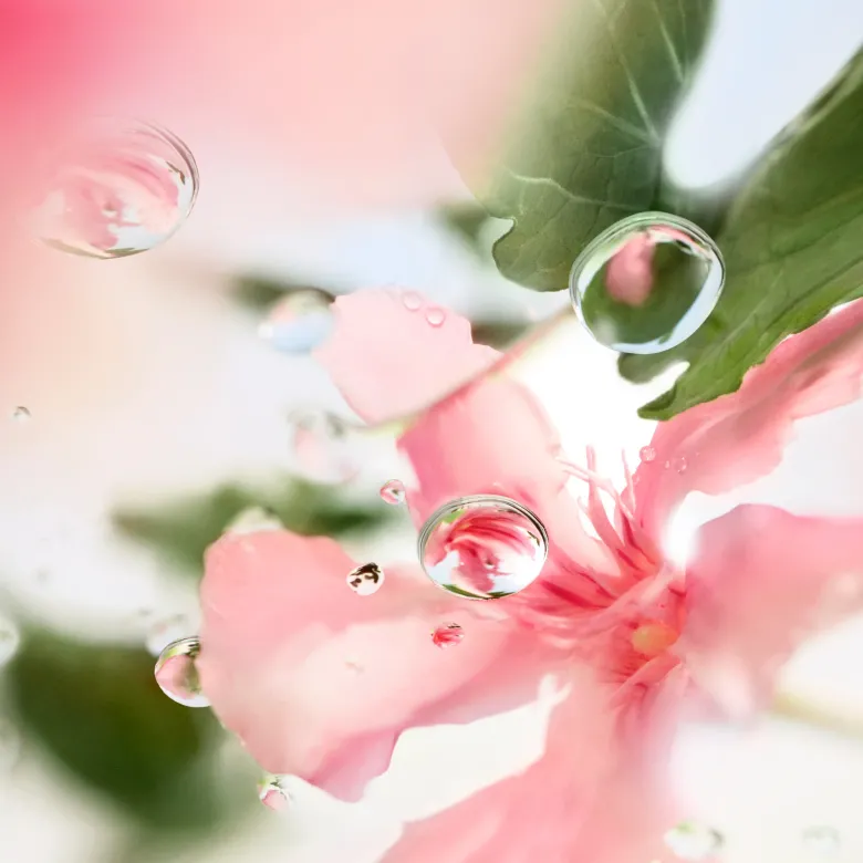 Lancome Ôver The Top