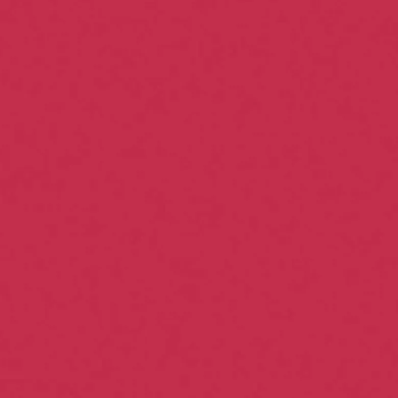 Lasting Embrace Lip Colour - Rossetto Liquido a lunga tenuta