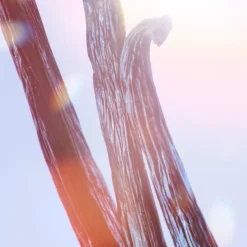 La Vie est belle Soleil Cristal