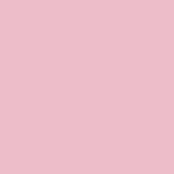 Le Vernis