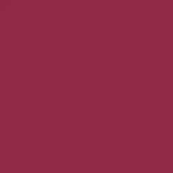 Makeupstudio Ink Lip Stain - Tinta Per Labbra