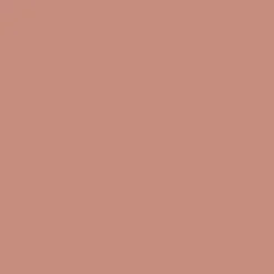 Pure Color Envy Gloss & Lacquer