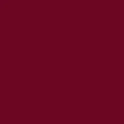 Pure Color Envy Lipstick* 370 / 520 CARNAL