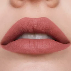 Pure Color Lipstick