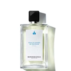 Sous un Mimosa de Provence