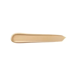 Teint Idole Ultra Wear All Over Concealer